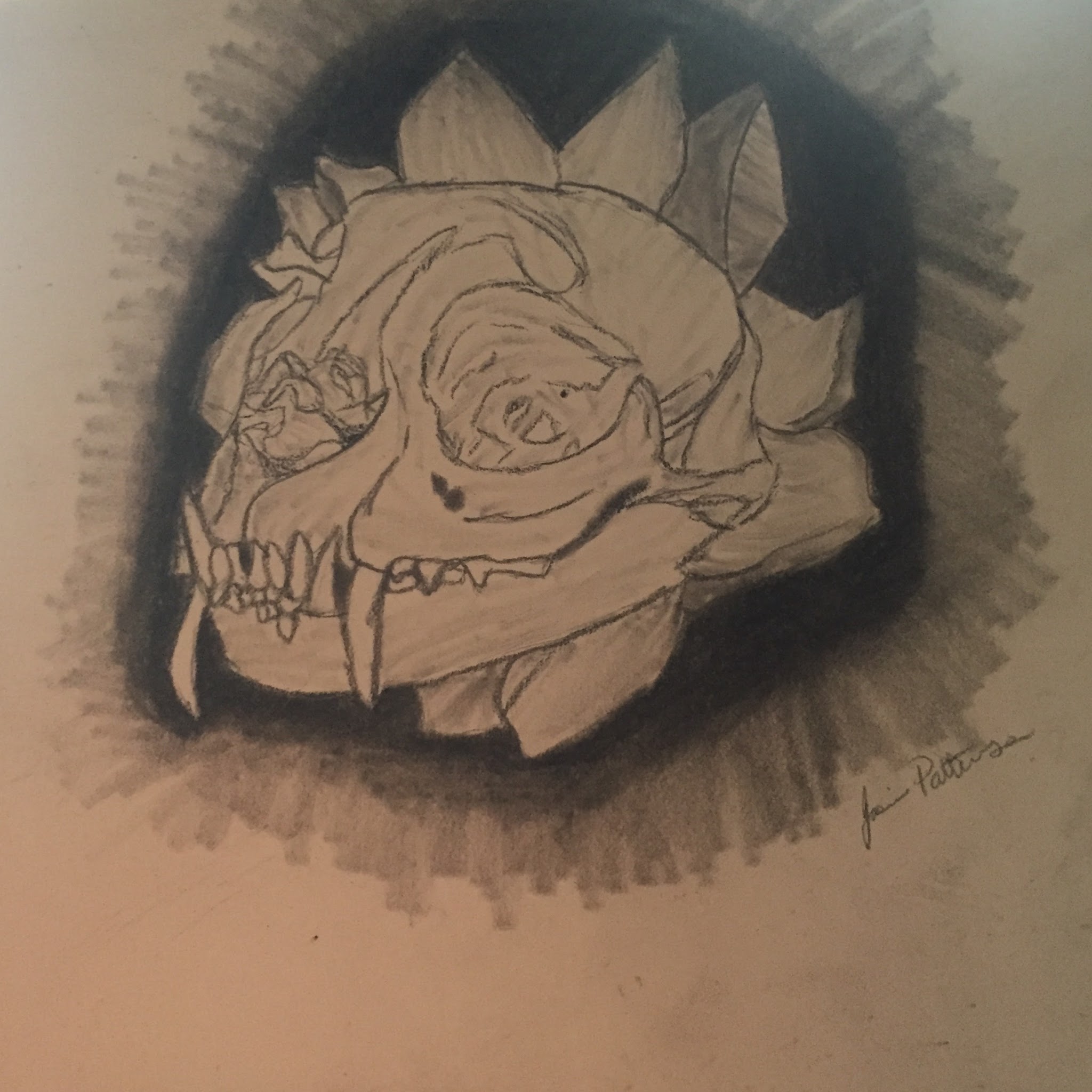Charcoal drawing of an animal skull ringed by roses on toned paper