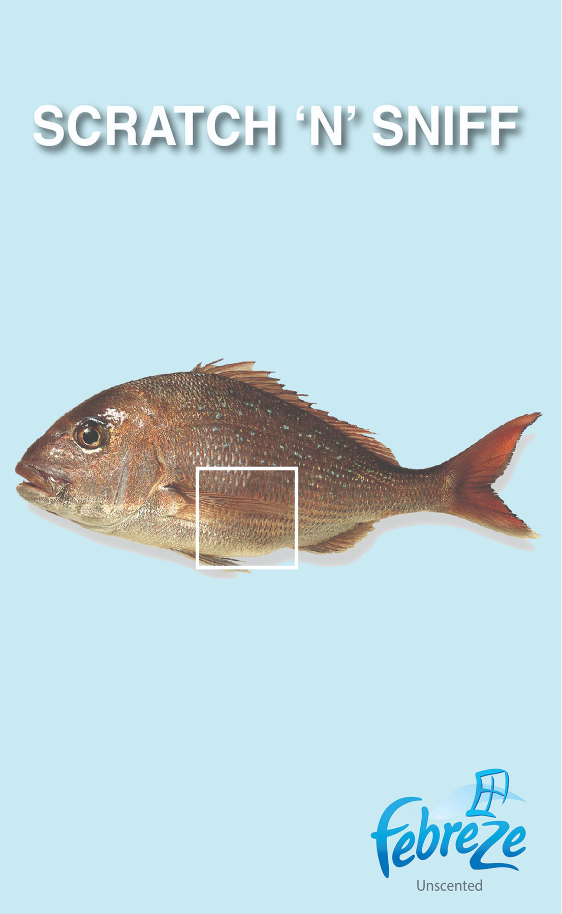 Febreze Scratch 'n' Sniff print ad concept featuring a raw fish