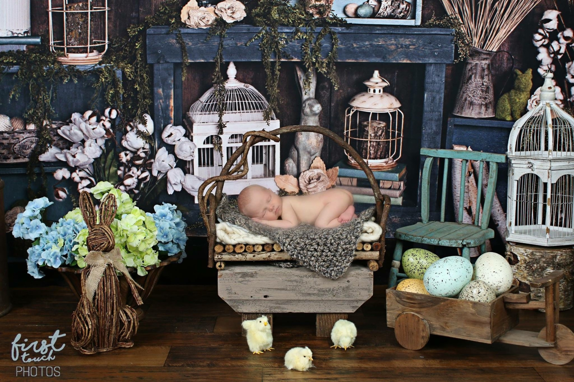 Newborn sleeping in a wire basket in a spring set with birdcages, blossoms, and speckled eggs
