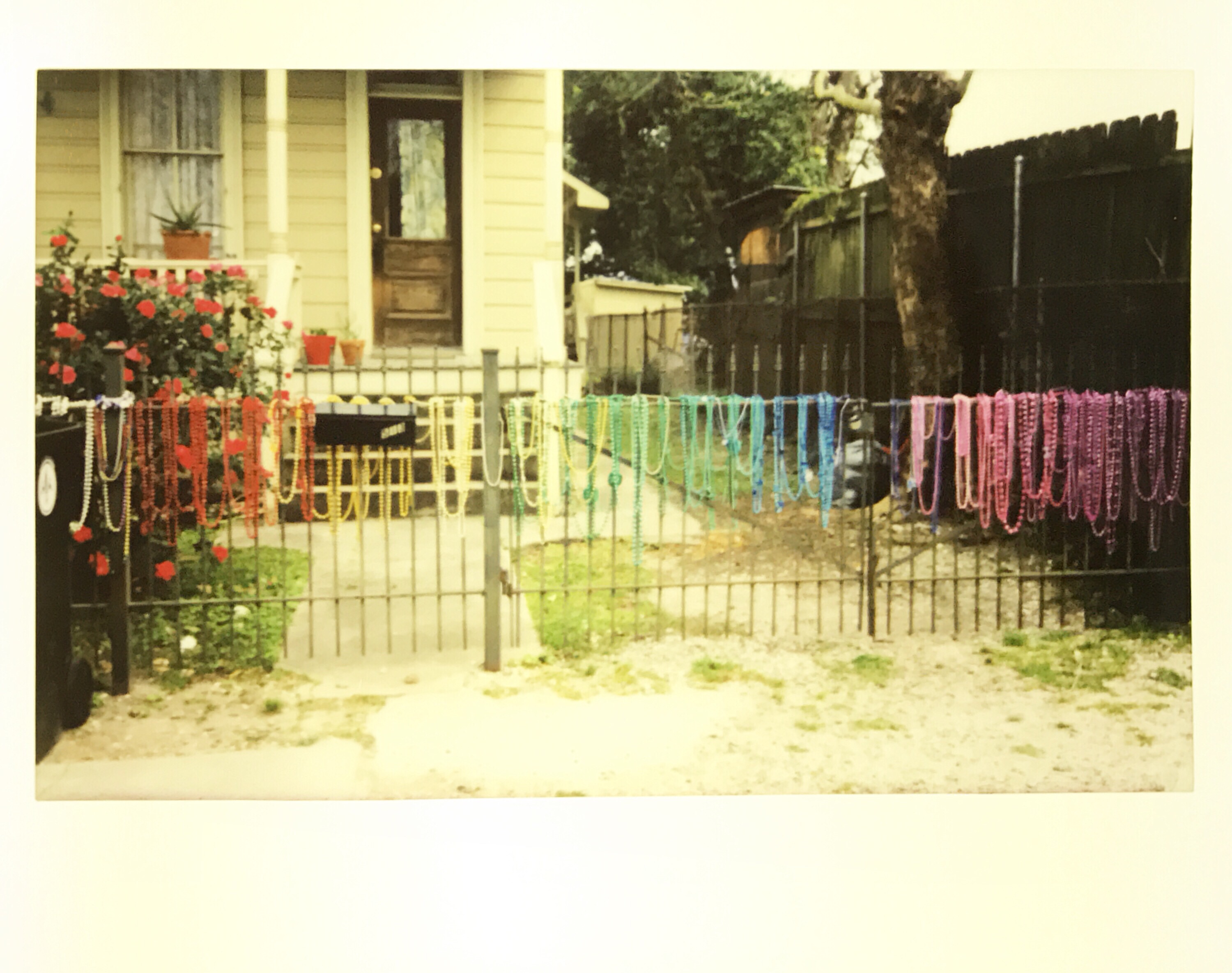 Polaroid photograph scanned from the original print