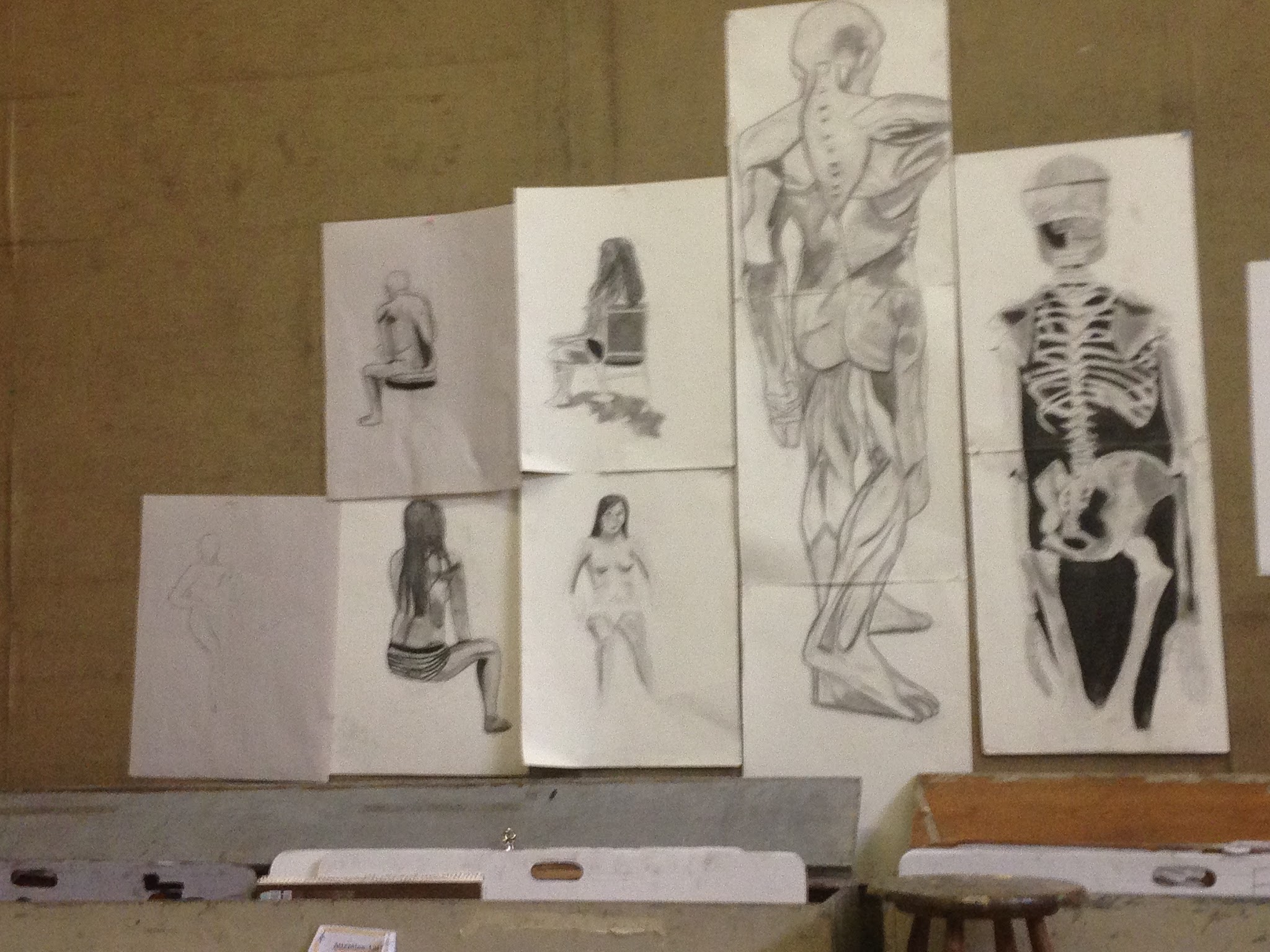 Studio wall of figure and anatomy studies, including a skeleton drawing