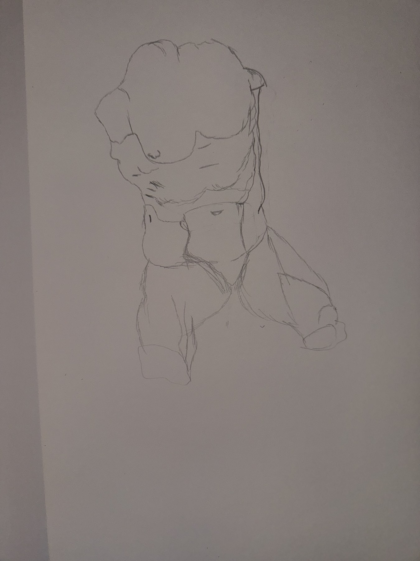 Anatomical graphite study of the human torso