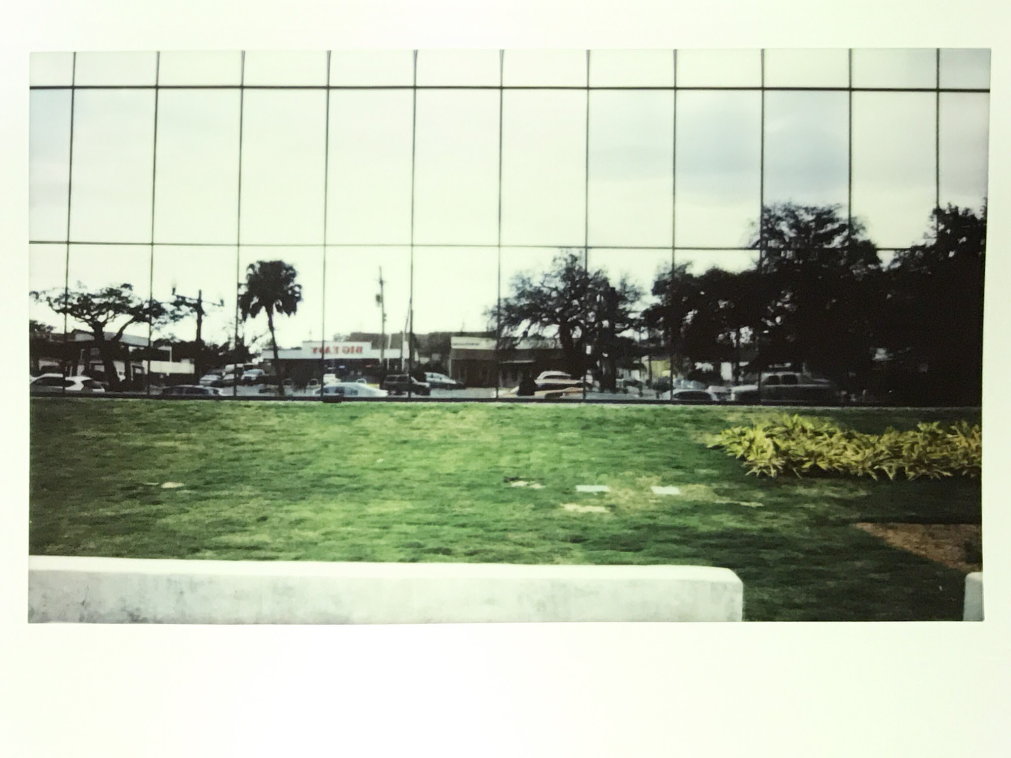 Polaroid photograph scanned from the original print