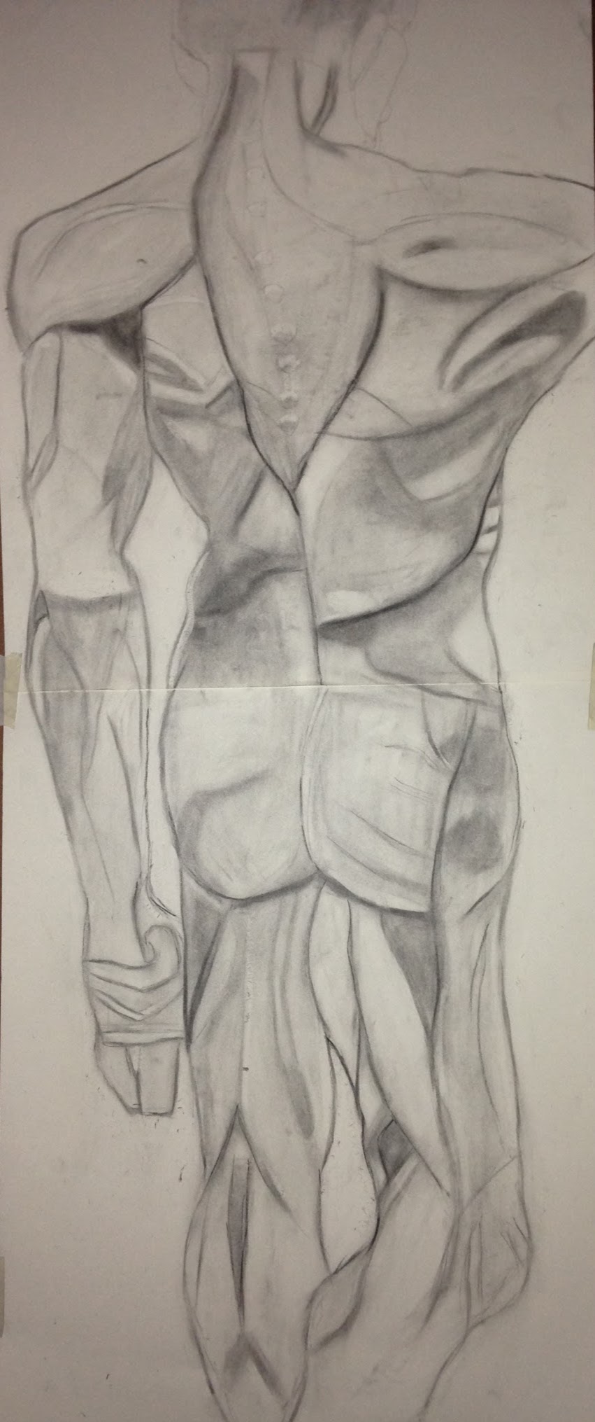 Graphite figure study of a standing torso with careful muscle shading