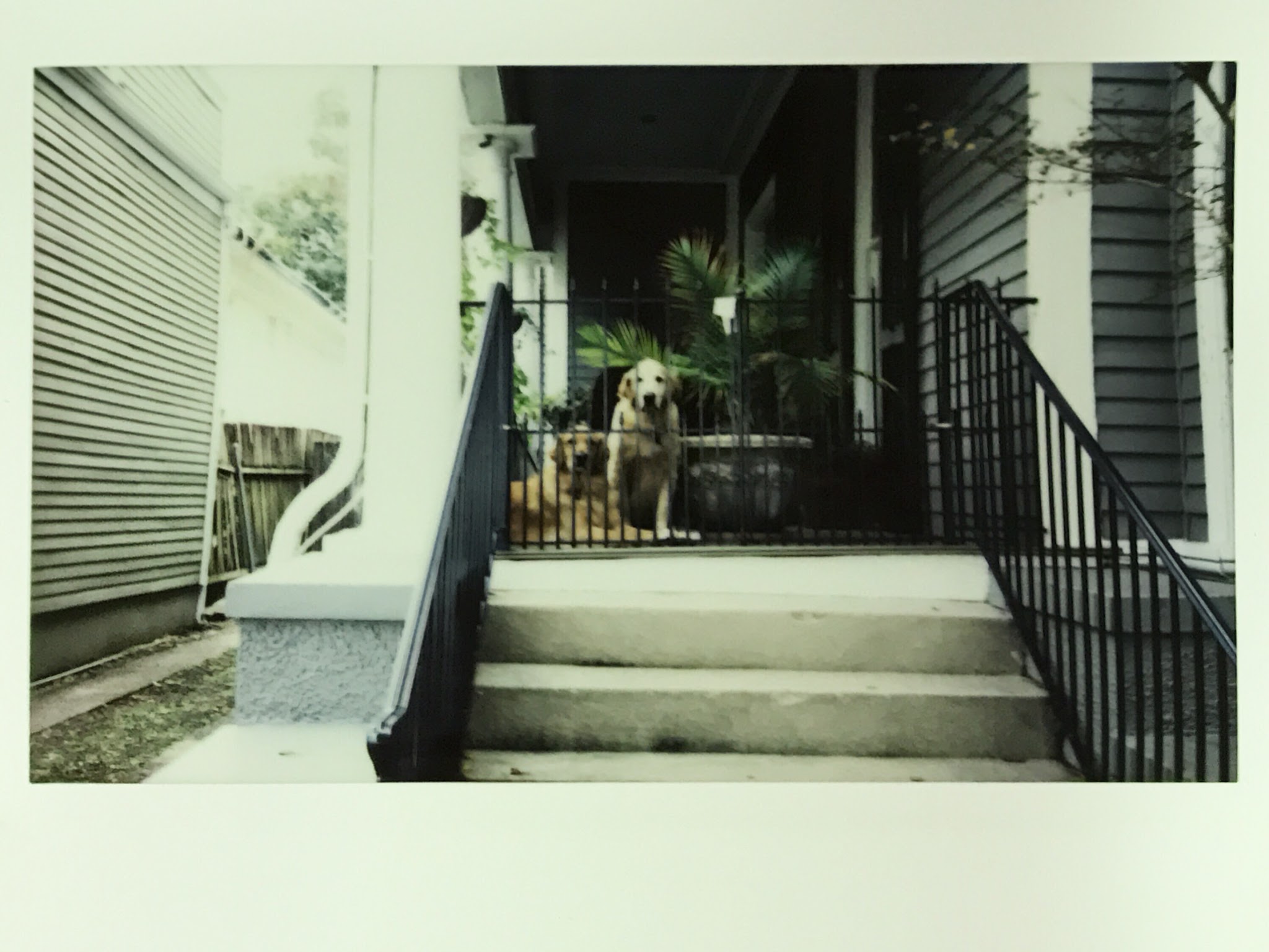 Polaroid photograph scanned from the original print