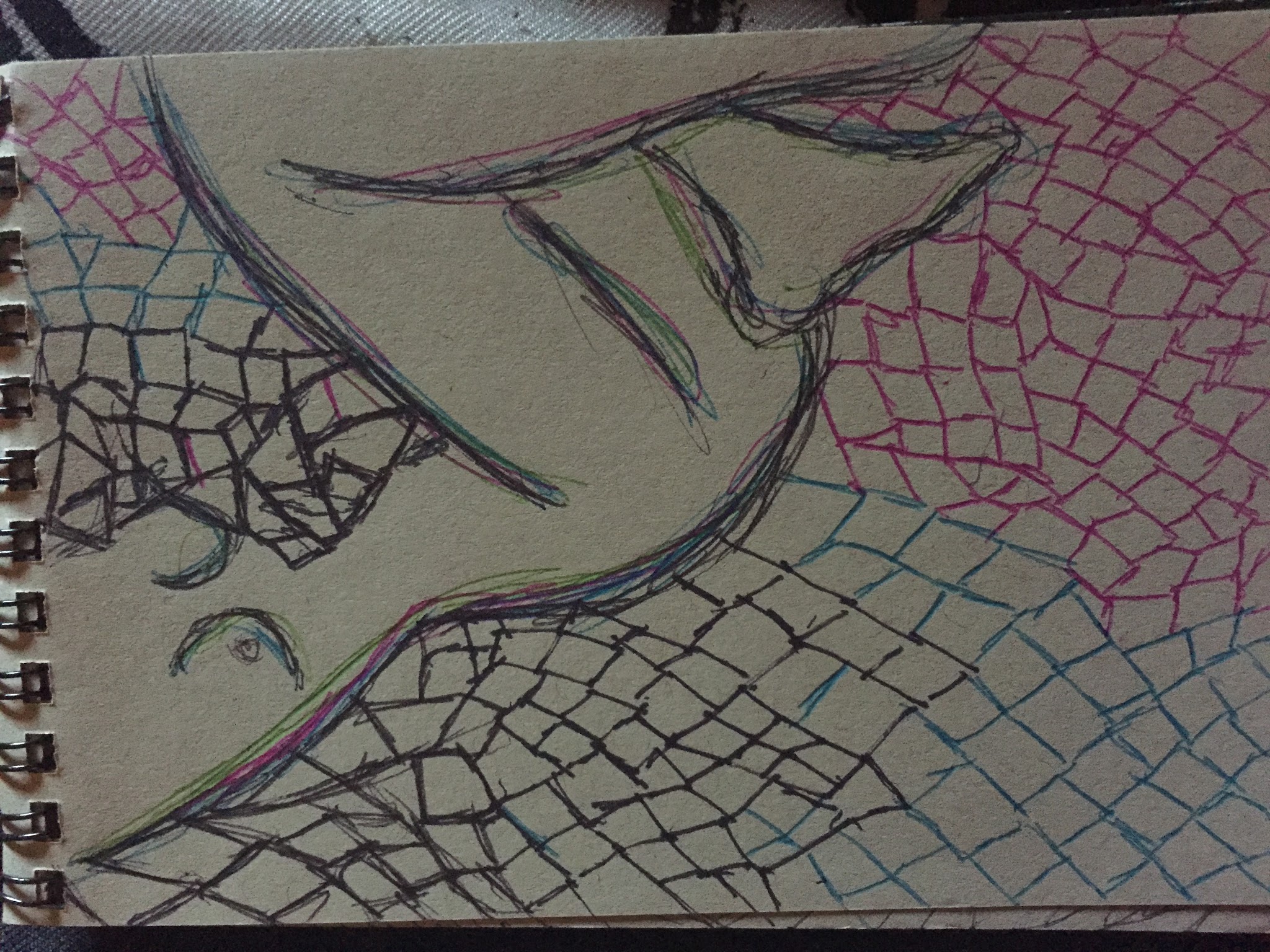 Color pen-and-ink sketchbook spread of a fish woven into a net pattern