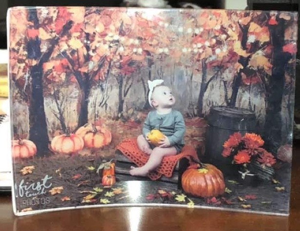 Curved fall-themed print of a toddler among pumpkins, produced and displayed at the studio